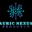 Auric Nexus Sdn Bhd