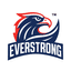 Everstrong Martial Arts and Fitness